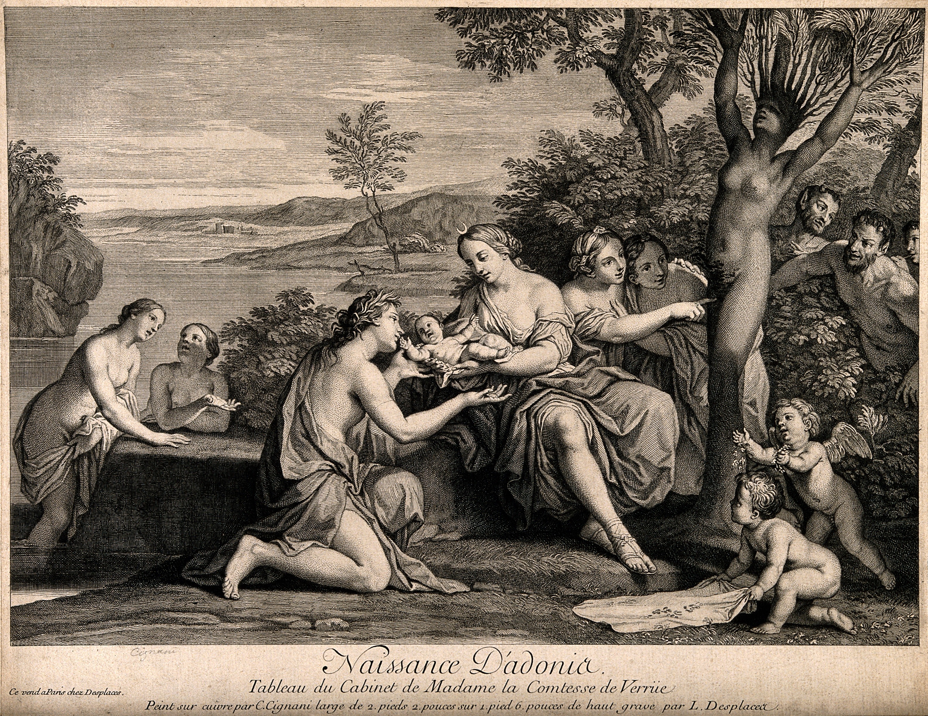 Birth of Adonis